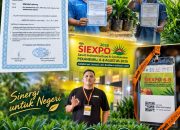 Bibit Kelapa Sawit Bersertifikat Kini Tersedia di Lampung Utara, Petani Tak Perlu Lagi Beli ke Luar Daerah