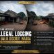 Dugaan Illegal Logging di Bulik Disorot Warga, Aparat Diminta Bertindak
