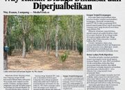 Puluhan Hektare Lahan Register 46 Way Kanan Diduga Dikuasai dan Diperjualbelikan