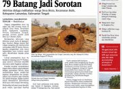 Diduga Angkut Kayu Log Tanpa Izin di Sungai Lamandau, 79 Batang Jadi Sorotan